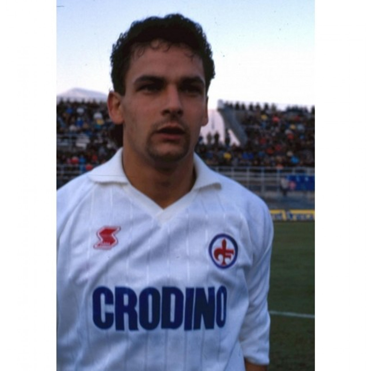 Maglia fiorentina crodino on sale